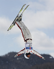 Aerials skier
